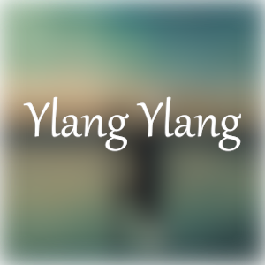 Ylang Ylang（超高还原版）——FKJ
