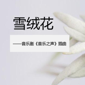 雪绒花伴奏钢琴谱f调钢琴谱