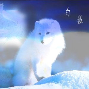 白狐（原调）-钢琴谱