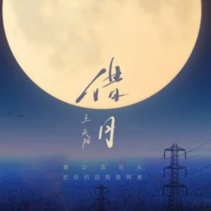 借过印子月吉他谱c调简单版