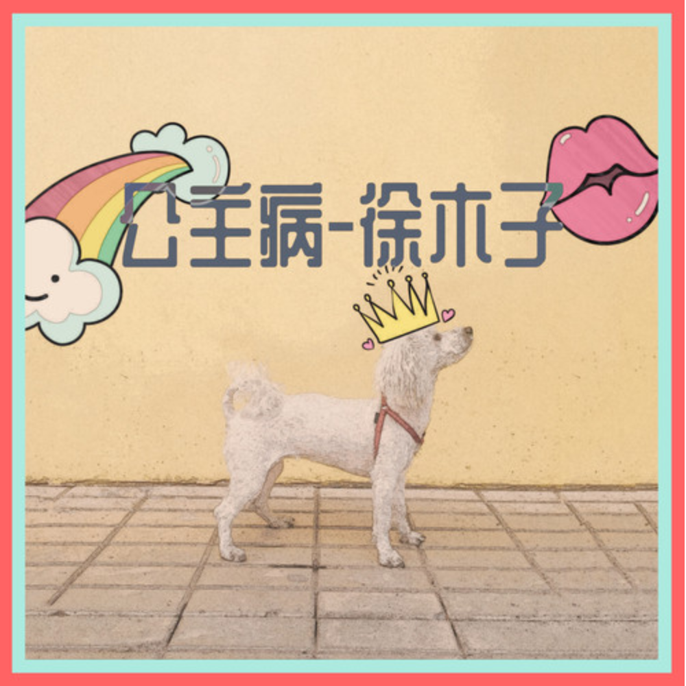 公主病 (徐木子)