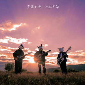 小时光吉他谱g调