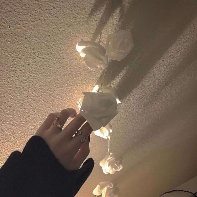 南北观钢琴谱