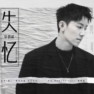 失忆 蔡鹤峰钢琴谱