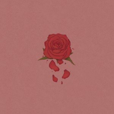 《玫瑰窃贼》 - 柳爽