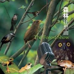 森林狂想曲-Forest-Rhapsody  [超好听纯音乐]-钢琴谱