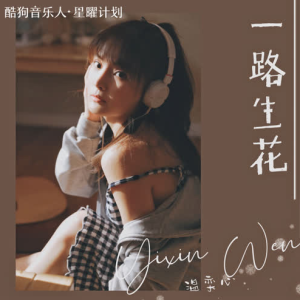 温舒娴美梦吉他谱