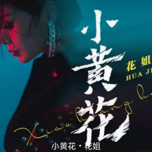 歌颂者陕西牛犇吉他谱
