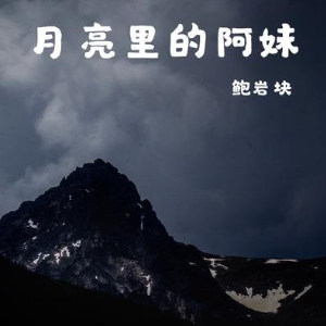 十五的月亮吉他谱G调
