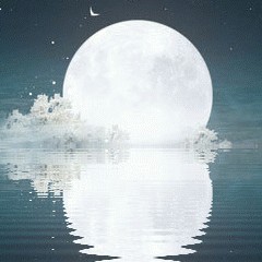 喜钢琴谱