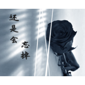 还是会忘掉
