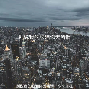 别说我的眼泪你无所谓
