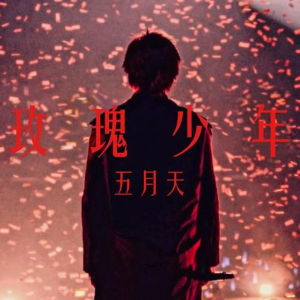 小草与玫瑰少年吉他谱