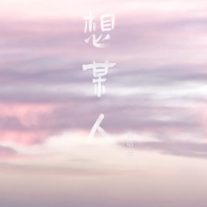 想某人 C调简易版 王优秀