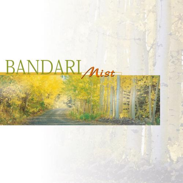 Bandari - 《Diamonds》钢琴谱