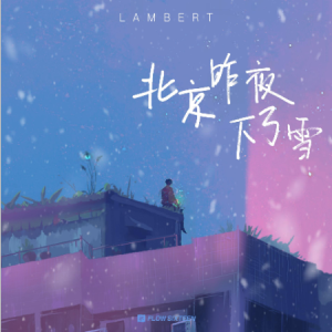 北京北京吉他谱am小调