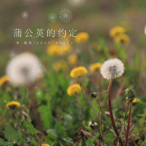 蒲公英的约定指弹吉他谱果木浪子