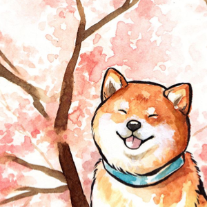 Vogelhochzeit 小鸟的婚礼