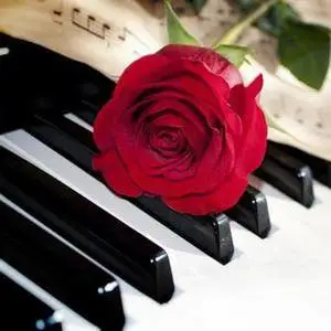 【免费谱】献给爱丽丝-致爱丽丝 贝多芬钢琴谱