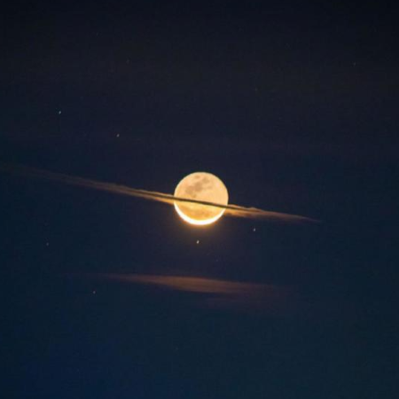 愿我如星君如月