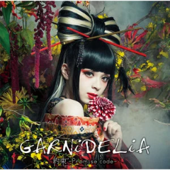 【聚会曲目】极乐净土-GARNiDELiA-钢琴谱