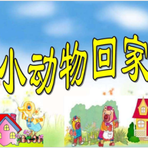 小动物回家