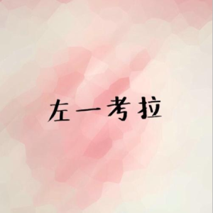 左半边世界吉他谱