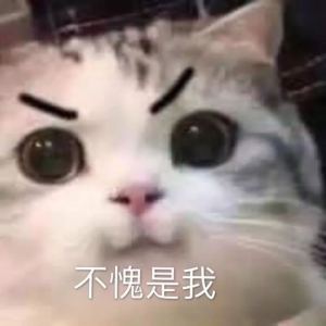 阿兰沃克喵钢琴谱
