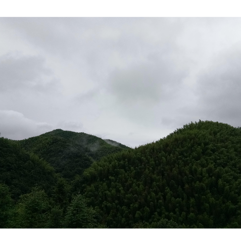 雨夏