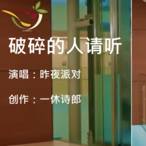 关于南方破碎理想吉他谱