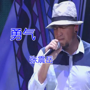 苏有朋 勇气吉他谱