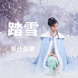 吉他谱踏雪