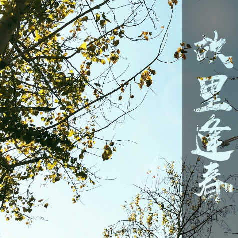 故里逢春