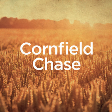 Cornfield Chase/原野追逐-星际穿越