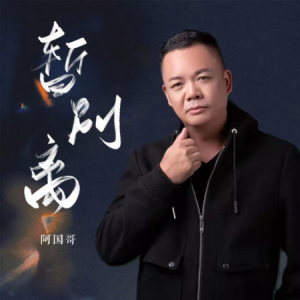 你离了南京吉他谱