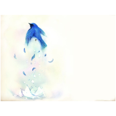 ルリノトリ