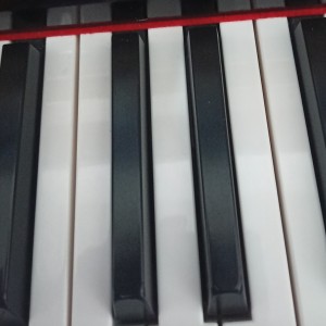 棒棒棒棒钢琴谱