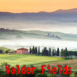 Valder Fields C调简易版 Tamas Wells 流行经典