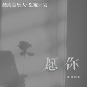 愿赌服输c调吉他谱