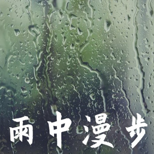 雨中漫步 (李根)