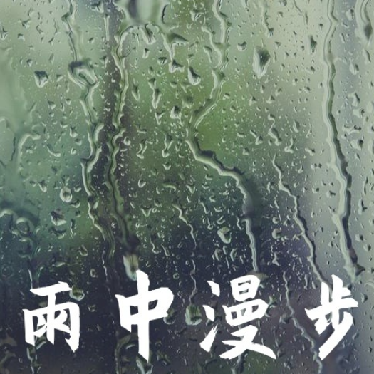 雨中漫步（钢琴曲）-钢琴谱