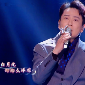 白山茶吉他谱扫弦节奏