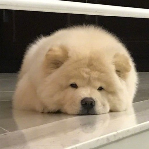 小立钢琴谱