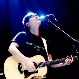 山楂树之恋程佳佳吉他谱