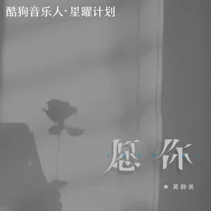 我不愿让你一个人歌词