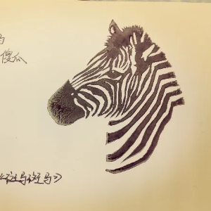斑马斑马