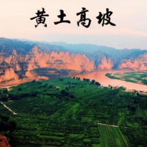 黄土高坡