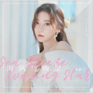 星屑 aimer吉他谱
