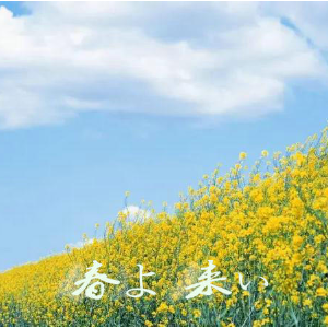 春よ 来ぃ 春天来了  C调简易版