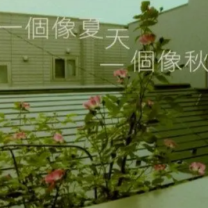 调一个位置贝贝吉他谱